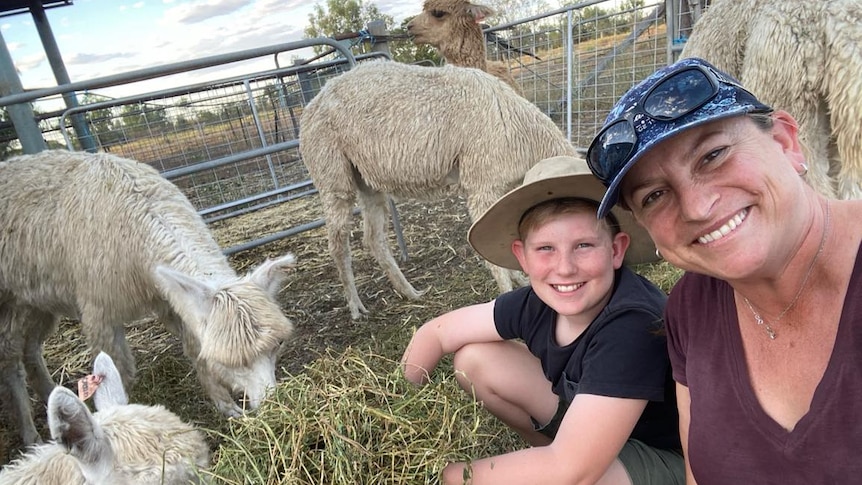 Michelle Hamilton and son Wylye tend to their flock of alpacas