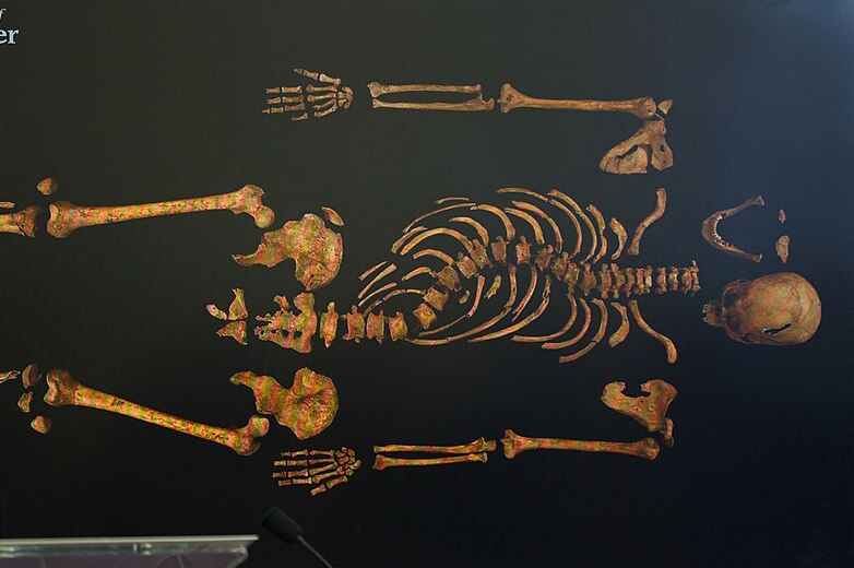 Richard III skeleton