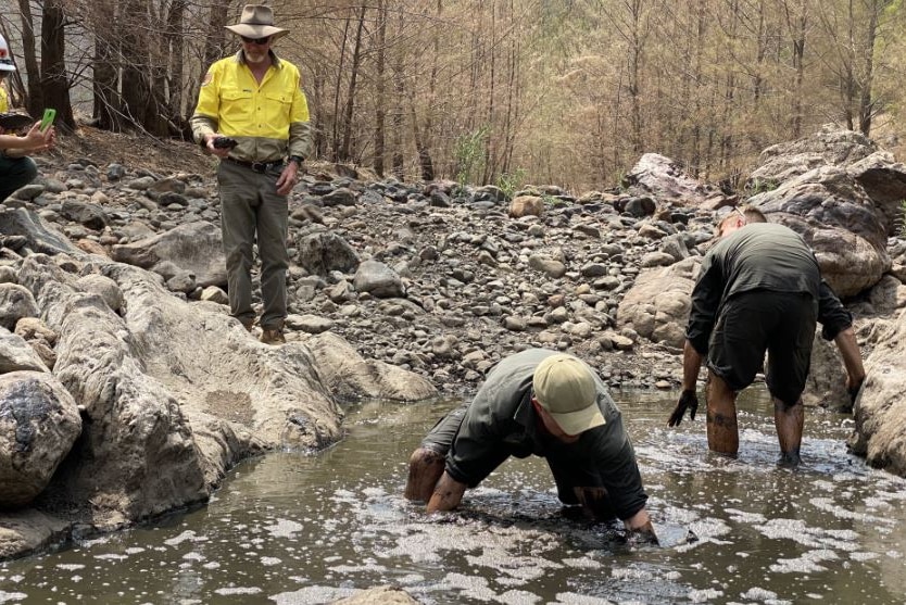 A group of wildlife workers stand in a muddy creek, one bent over with his hands in the water.