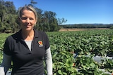 Jennifer Rowling crouching in a field of strawberries.