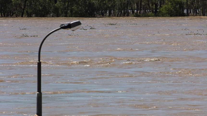 A street light flooded by the Fitzroy River