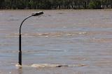 A street light flooded by the Fitzroy River