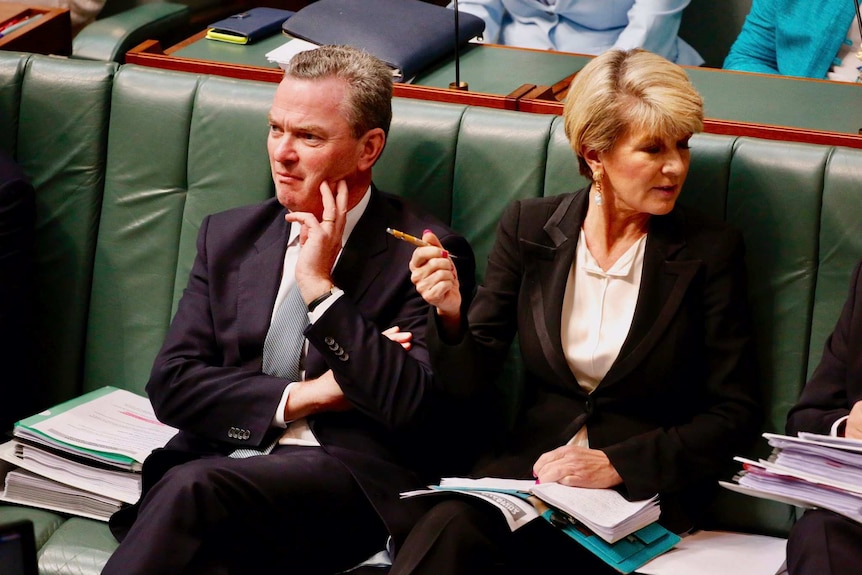 Christopher Pyne and Julie Bishop react to a protest during Question Time.