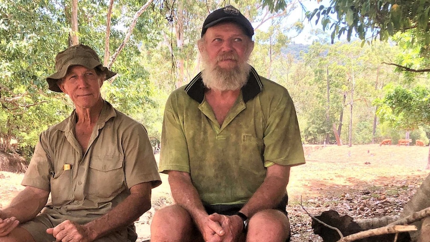 Brothers Lewis and Charlie sit on a tree stump under a Moreton Bay fig tree