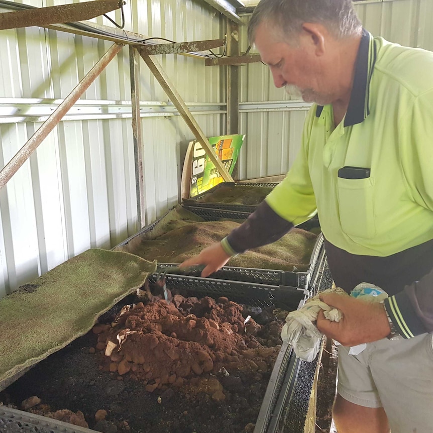 Farmer Mick Krukow standing beside worm farm pallets with coffee ground pucks sitting on the top.