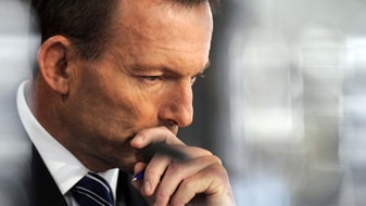 File photo: Opposition Leader Tony Abbott (AAP: Alan Porritt)