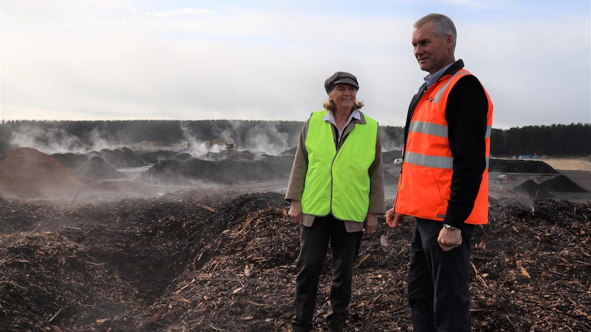 Market authorities urge producers to be careful about signing up to carbon farming schemes