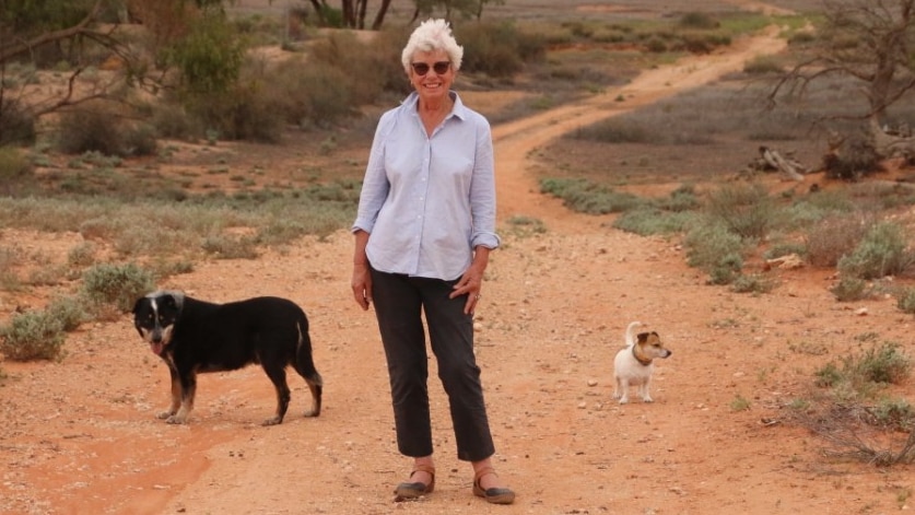 A woman stands in the red dirt of the outback with two dogs.