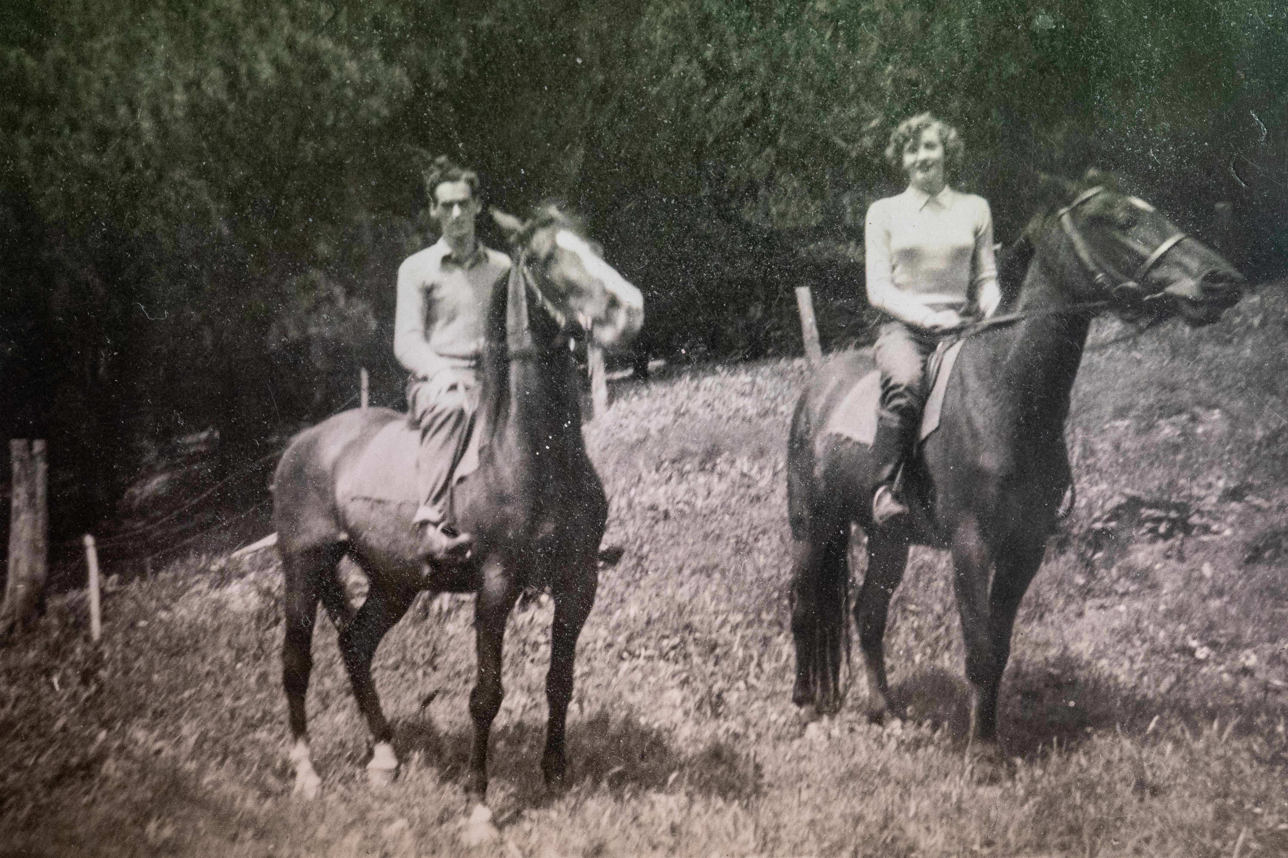 A man and woman sitting on seperate horses. 