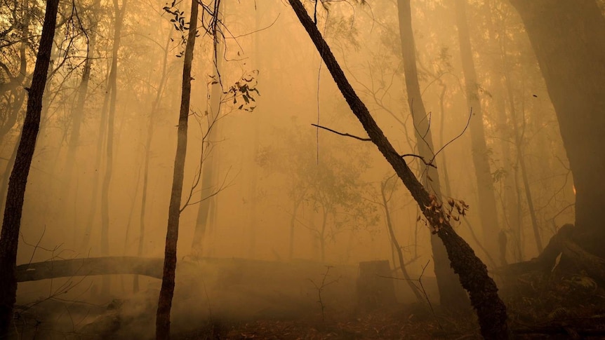 smoke, dust and haze after a busy area is ravaged by fires