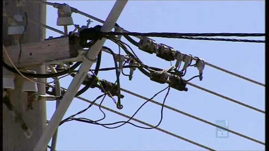 Tasmanian power bills could rise by as much as $340 a year under the carbon tax.