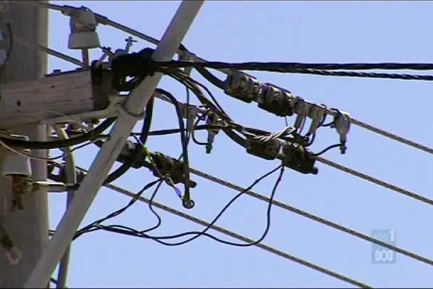 Tasmanian power bills could rise by as much as $340 a year under the carbon tax.