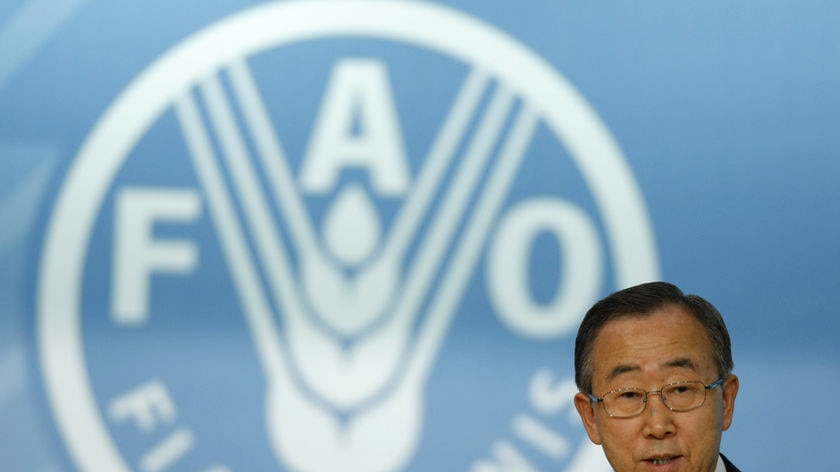 UN Secretary General Ban Ki-moon says $15-20 billion a year needs to be invested to overcome the global food crisis.