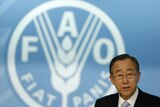 UN Secretary General Ban Ki-moon says $15-20 billion a year needs to be invested to overcome the global food crisis.