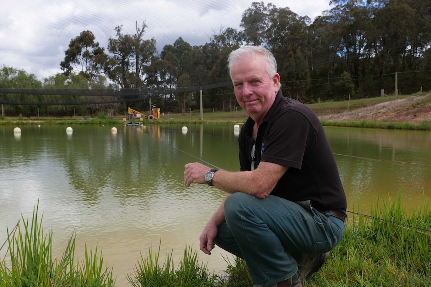 Marron producer Peter McGinty in front of his dam in Manjimup, October 2020.
