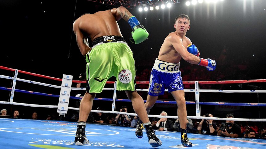Gennady Golovkin pummels Dominic Wade on the ropes