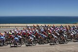 The peloton passes the coastline at Sellicks Hill during stage three of the Tour on Thursday.