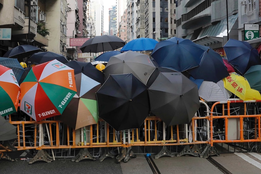 protesters stand behind umbrellas and barricades