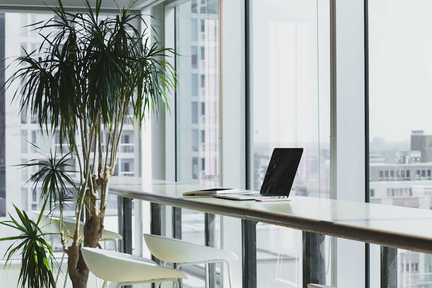 A desk set up with a laptop computer, with a potted palm nearby, looks out over a city skyline.