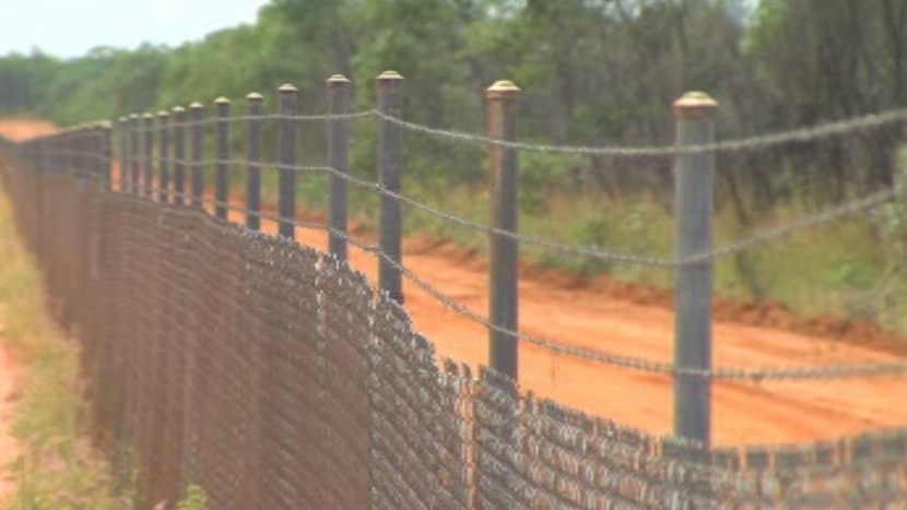 The perimeter fence at the Curtin Immigration Detention Centre, 40 kilometres from Derby. (ABC)