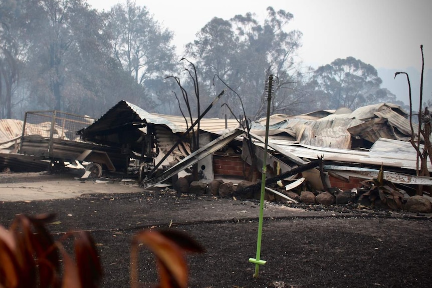 Brick and tin houses lie in rubble surrounded by burnt trees and ground.