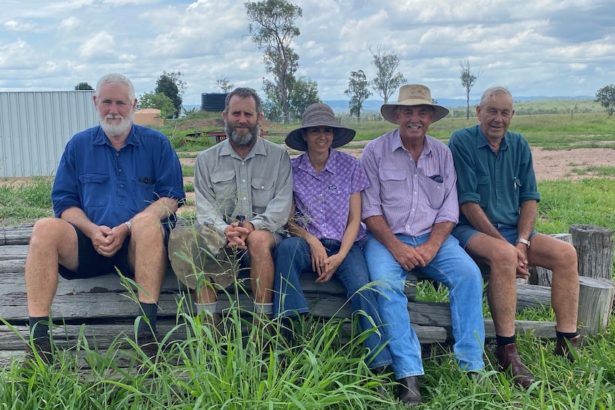 A group of producers from Smoky Creek sit on a pile of wood, a shed, tanks, paddocks and trees are visible in the background