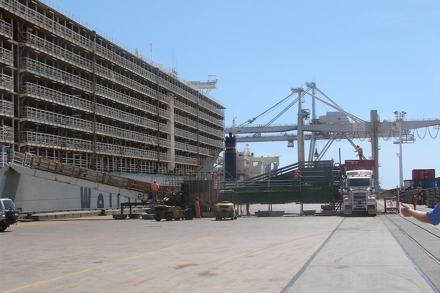 A live export ship ready to be loaded with animals.