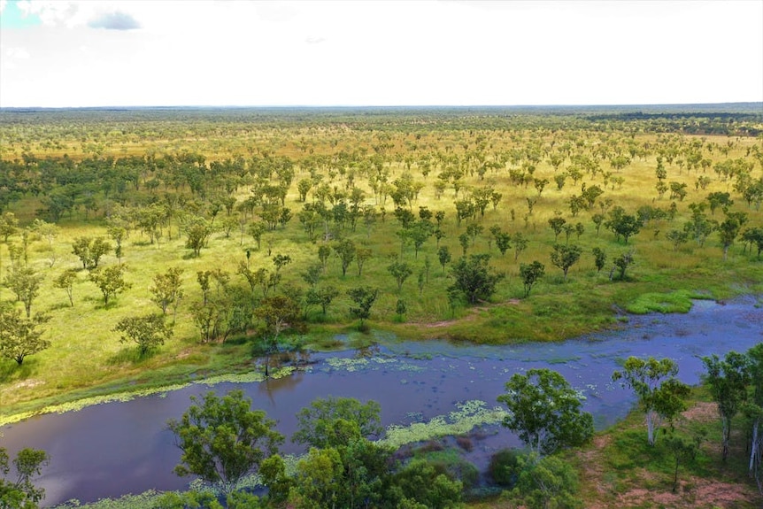 a drone shot of a billabong with some slightly-wooded scrub.