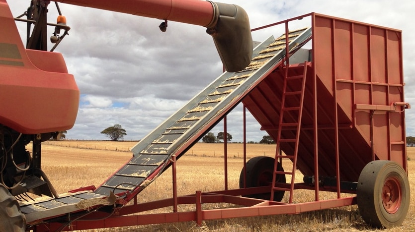 A chaff cart towed behind a harvester