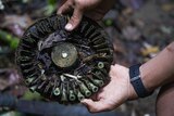A teenager's hands hold onto a rusted object with notches in it