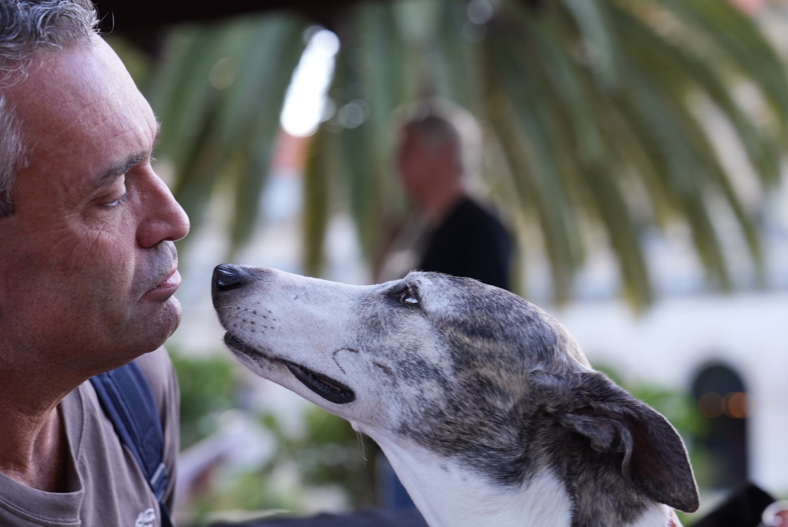 A close-up shot of a man's face on the left and a grey and white greyhound's face on the right, looking at each other.