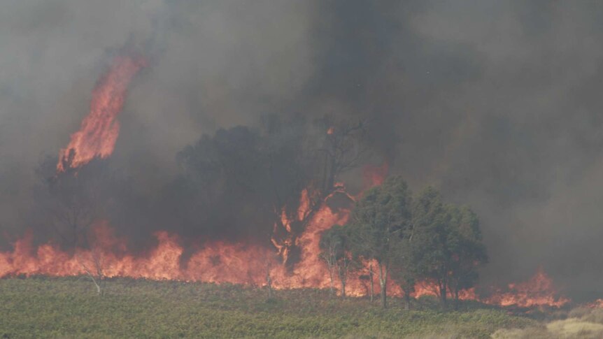 The bushfire at Gretna lasted several hours before a cool change helped firefighters.