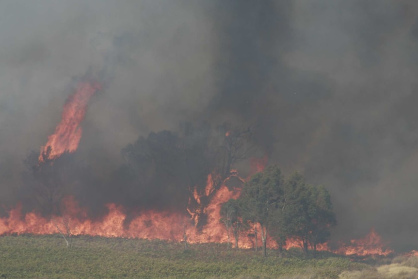 The bushfire at Gretna lasted several hours before a cool change helped firefighters.
