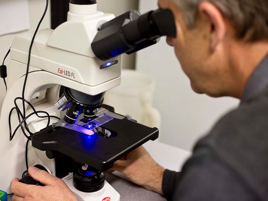 Man in lab coat looks down the eyepiece of a microscope