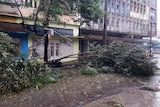 A tree lays across a street in front of a building.