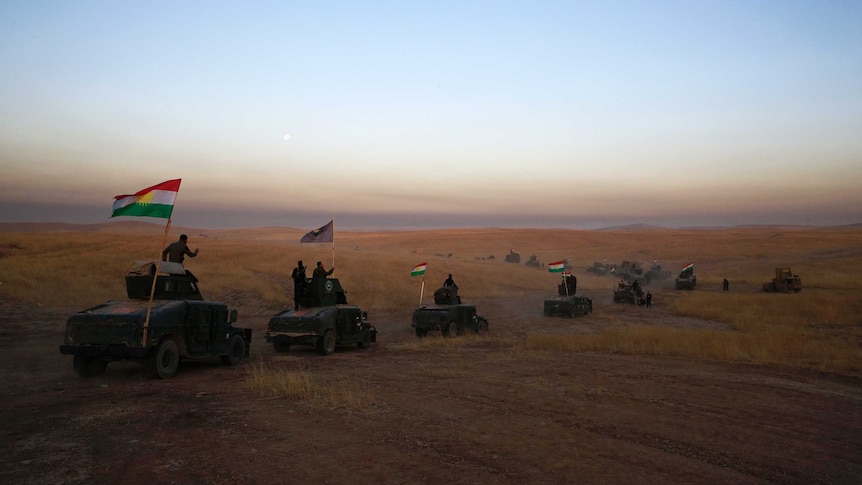 A Kurdish Peshmerga convoy drives towards a frontline in Iraq.