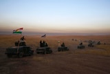 A Kurdish Peshmerga convoy drives towards a frontline in Iraq.