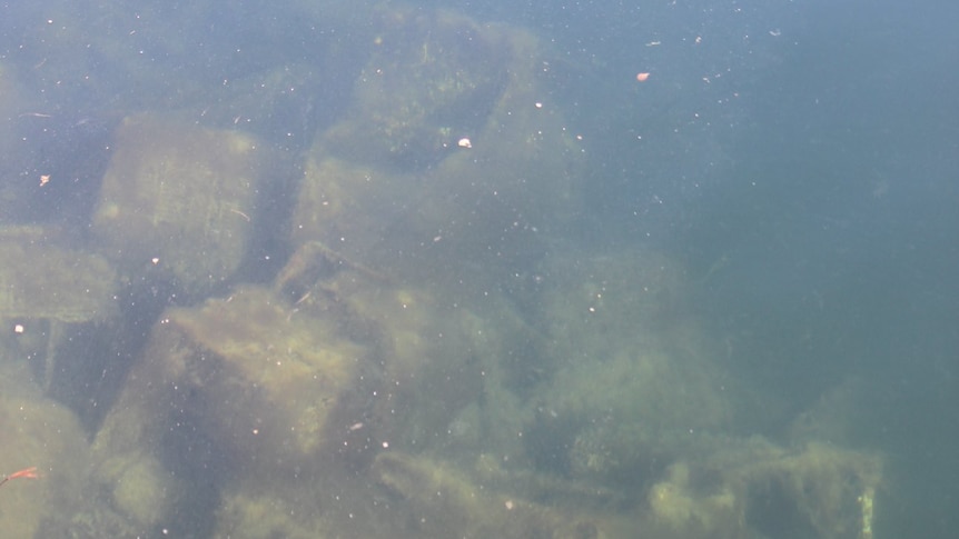 Trolleys underwater off Port Augusta wharf