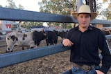 Man stands in front of pen holding rodeo bulls