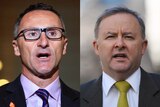 Greens leader Richard Di Natale and Labor's Anthony Albanese.