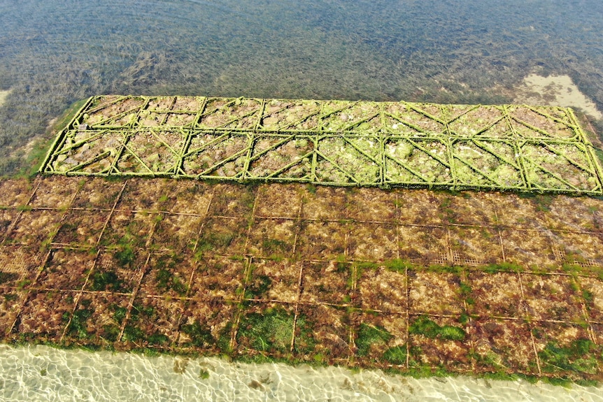 An aerial shot of underwater cages