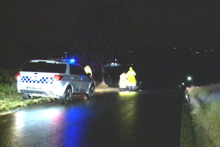 Police on the scene in Melbourne's north east where a woman was hit by lightning.