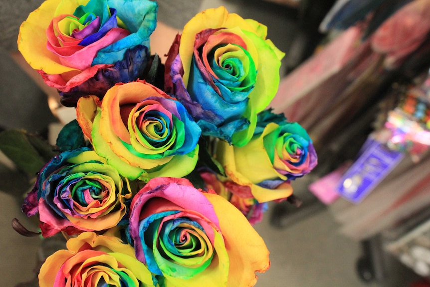 Dianne Williams' rainbow roses