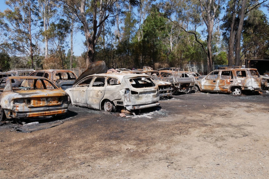Dozens of burnt out cars