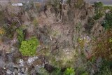 an aerial view of where trees were destroyed in sydney's castle cove