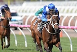 Winx powers ahead to win the Turnbull Stakes