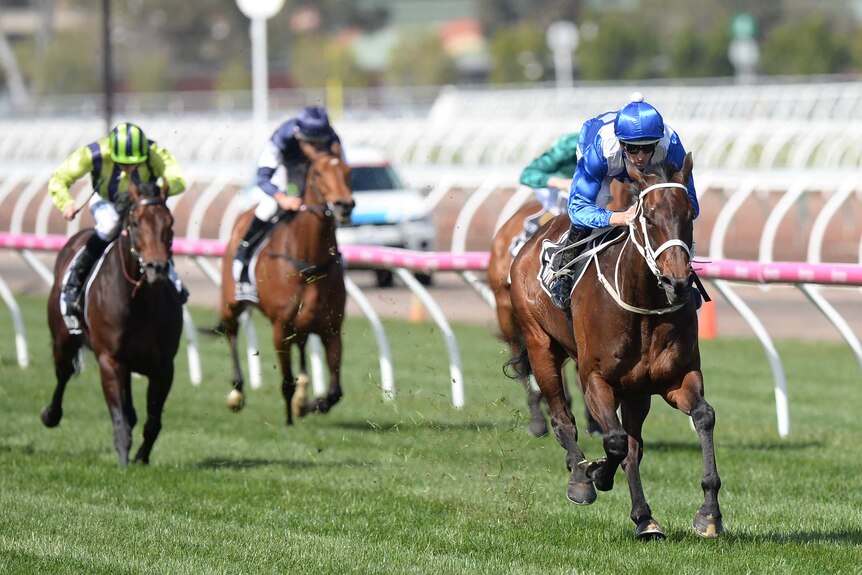 Winx powers ahead to win the Turnbull Stakes