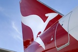 A Qantas jet on the tarmac