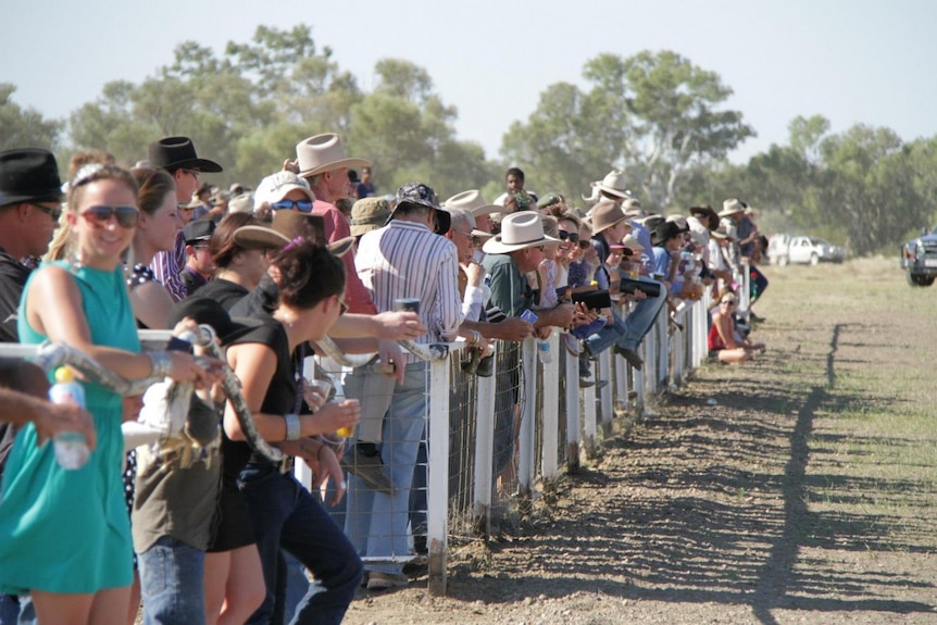 people standing along a fence-line