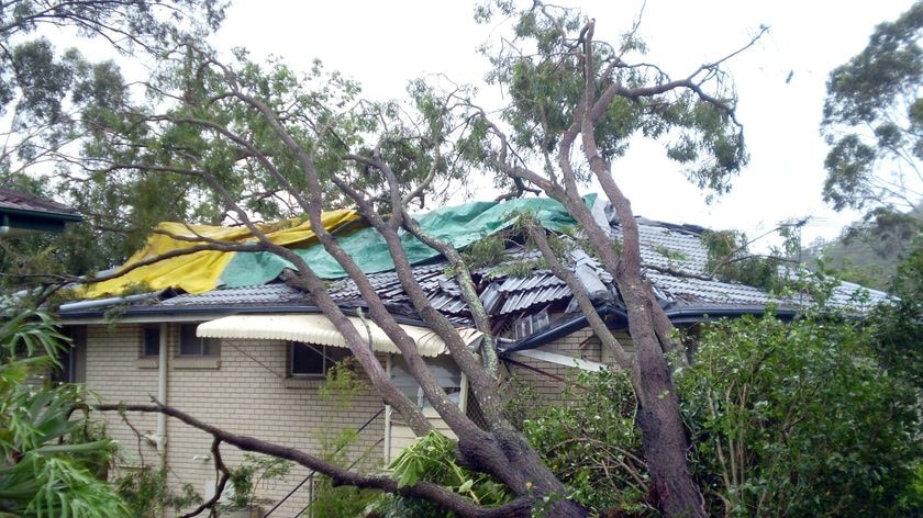 The St Vincent de Paul Society Queensland has also launched its Storm Damage Appeal.